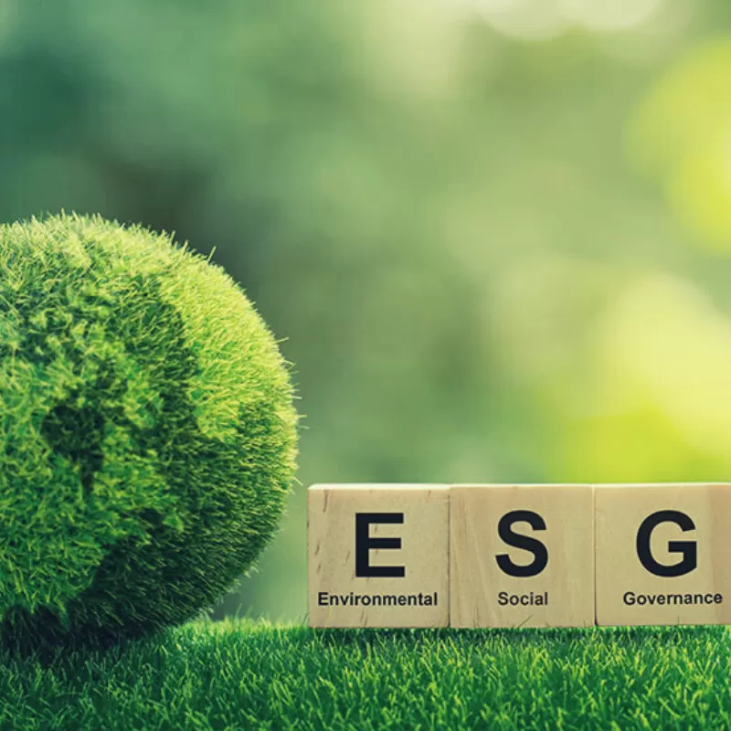 Analisi e Strategie ESG