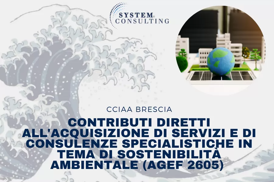 CCIAA BRESCIA - CONTRIBUTI DIRETTI ALL'ACQUISIZIONE DI SERVIZI E DI CONSULENZE SPECIALISTICHE IN TEMA DI SOSTENIBILIT&Agrave; AMBIENTALE (AGEF 2605) A
