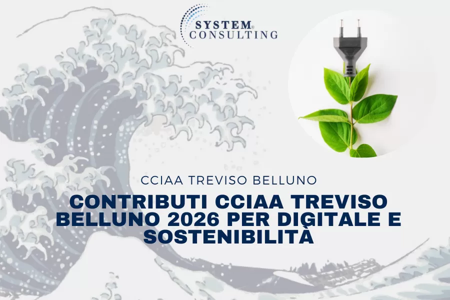 Contributi CCIAA Treviso Belluno 2026 per digitale e sostenibilit&agrave;
